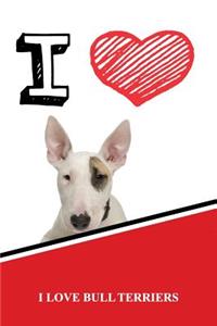 I Love Bull Terriers