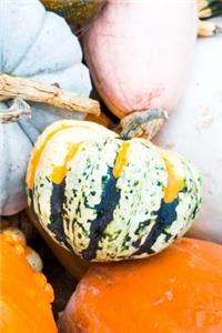 Cool Colorful Fall Pumpkins