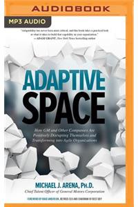 Adaptive Space