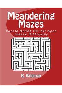 Meandering Mazes