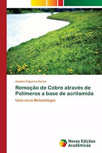 Remoção de Cobre através de Polímeros a base de acrilamida