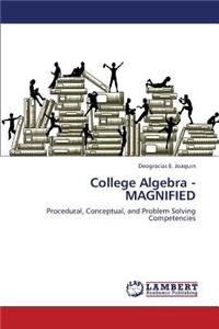 College Algebra - Magnified