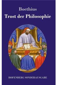 Trost der Philosophie