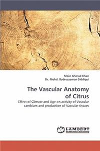 Vascular Anatomy of Citrus