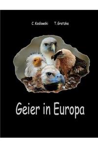 Geier in Europa