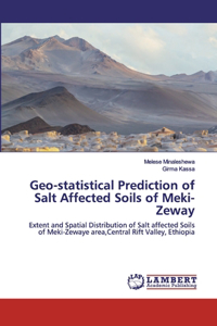 Geo-statistical Prediction of Salt Affected Soils of Meki-Zeway