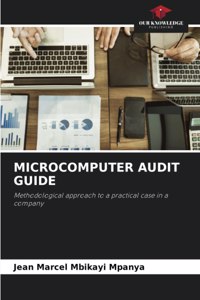 Microcomputer Audit Guide