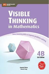 Visible Thinking In Mathematics 4B