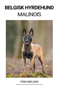 Belgisk Hyrdehund (Malinois)