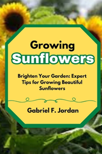 Growing Sunflowers