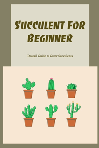Succulent For Beginner