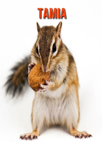 Tamia
