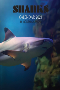 Sharks Calendar 2021