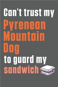 Can't trust my Pyrenean Mountain Dog to guard my sandwich