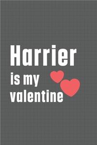 Harrier is my valentine