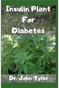 Insulin Plant for Diabetes