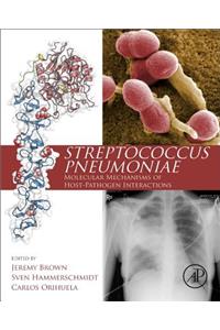 Streptococcus Pneumoniae