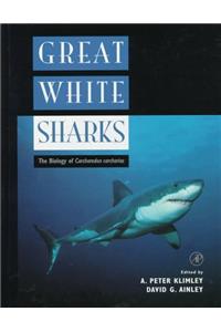 Great White Sharks