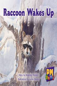 Raccoon Wakes up