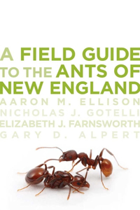 Field Guide to the Ants of New England