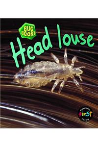 Head Louse