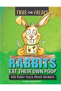 Rabbits Eat Their Own Poop