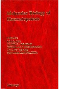 Molecular Biology of Hematopoiesis: v. 1