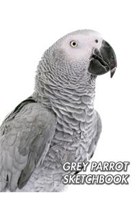 Grey Parrot Sketchbook