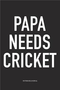 Papa Needs Cricket