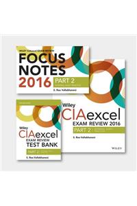 Wiley Ciaexcel Exam Review + Test Bank + Focus Notes 2016: Part 2, Internal Audit Practice Set