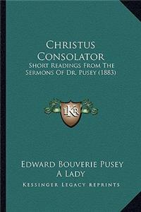 Christus Consolator