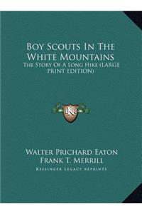 Boy Scouts In The White Mountains