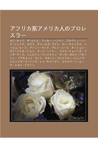 Afurika Xiamerika Rennopuroresur