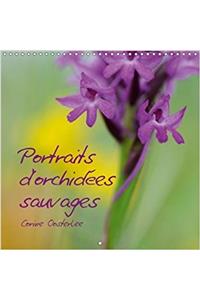 Portraits D'orchidees Sauvages 2018