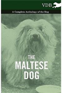 Maltese Dog - A Complete Anthology of the Dog