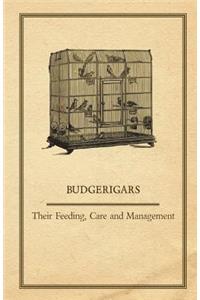 Budgerigars - Their Feeding, Care and Management