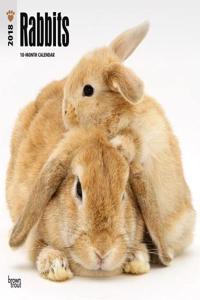 2018 Rabbits Wall Calendar