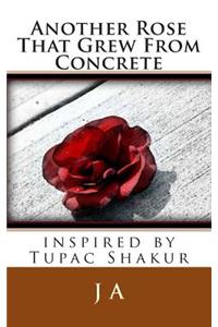 Another Rose That Grew From Concrete