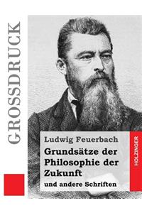 Grundsätze der Philosophie der Zukunft (Großdruck)