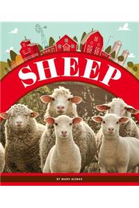 Sheep