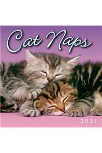 2021 Cat Naps Mini Calendar