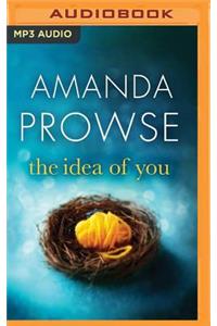 Idea of You