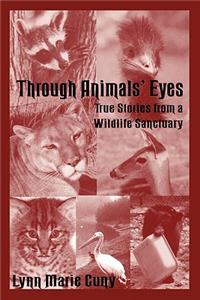 Through Animals' Eyes