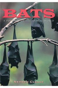 Bats: A Portrait of the Animal World