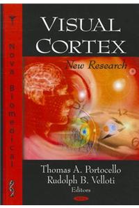 Visual Cortex