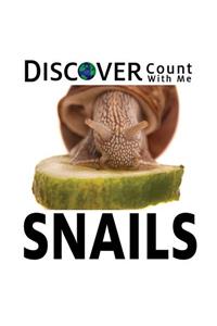 Discover Snails