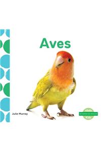 Aves (Birds) (Spanish Version)