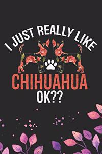 I Just Really Like Chihuahua Ok?