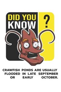 Did You Know?: Funny Crawfish Notebook for any seafood and crayfish lover.Fun Crawdaddy Quotes and Sayings . Planner Diary Note Book - 120 Squared Pages