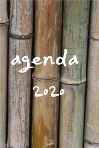 agenda 2020